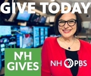 NH Gives TSWI
