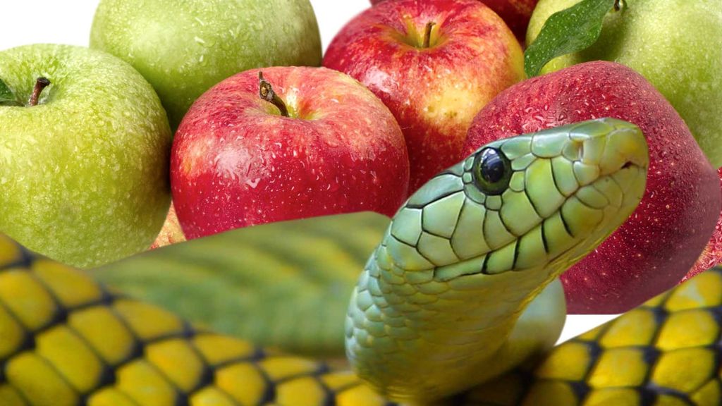 reptiles and apples  - october 21