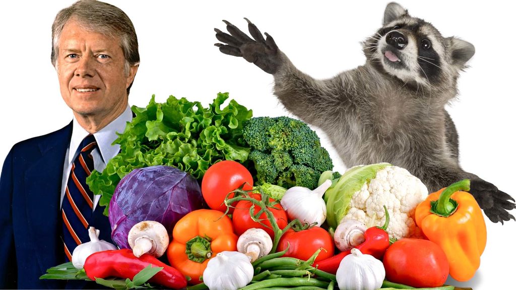 vegetables, raccoons, and jimmy carter - october 1
