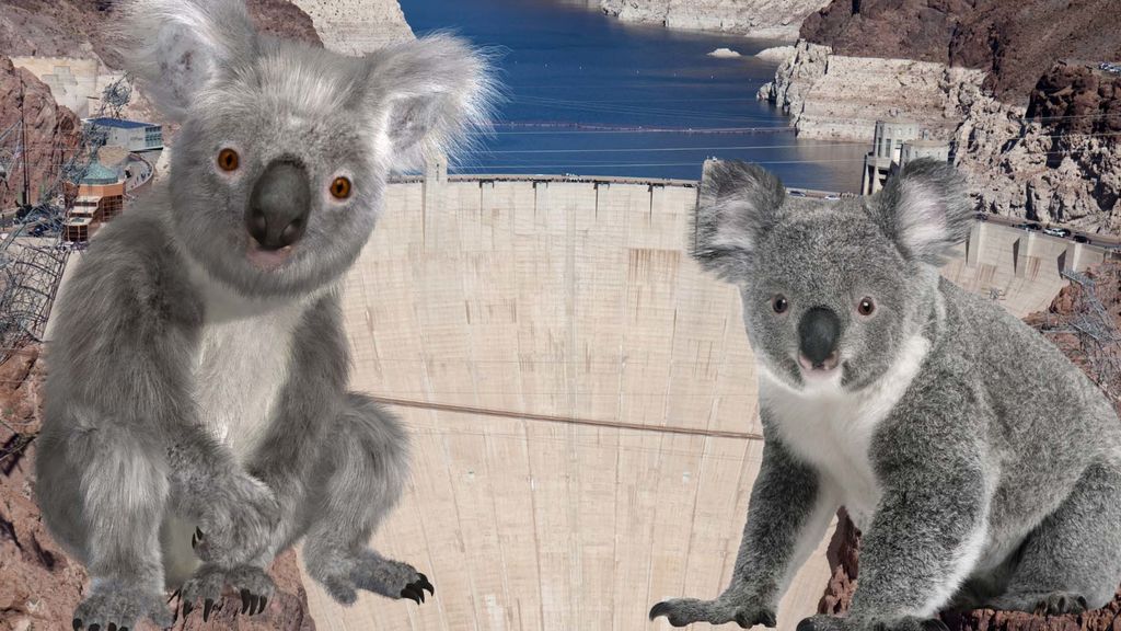 dams  and koalas - september 30