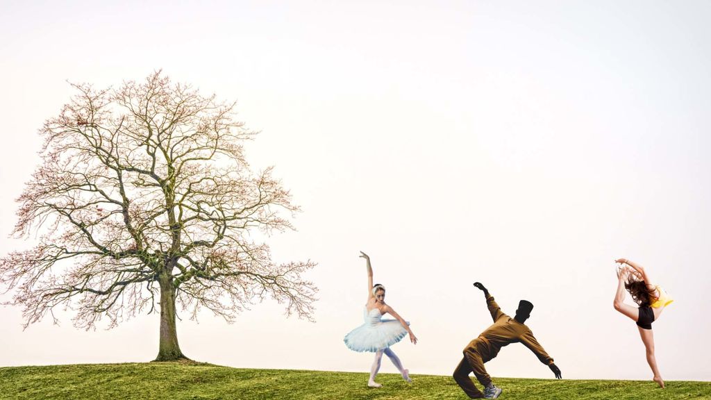 dance  and trees - april 29