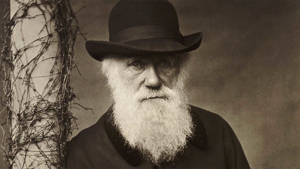 charles darwin and evolution - november 24