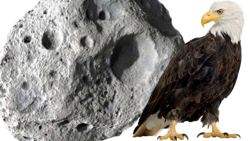 eagles and asteroids - june 20