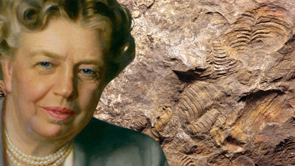 eleanor roosevelt, fossils, and bullying prevention - october 11