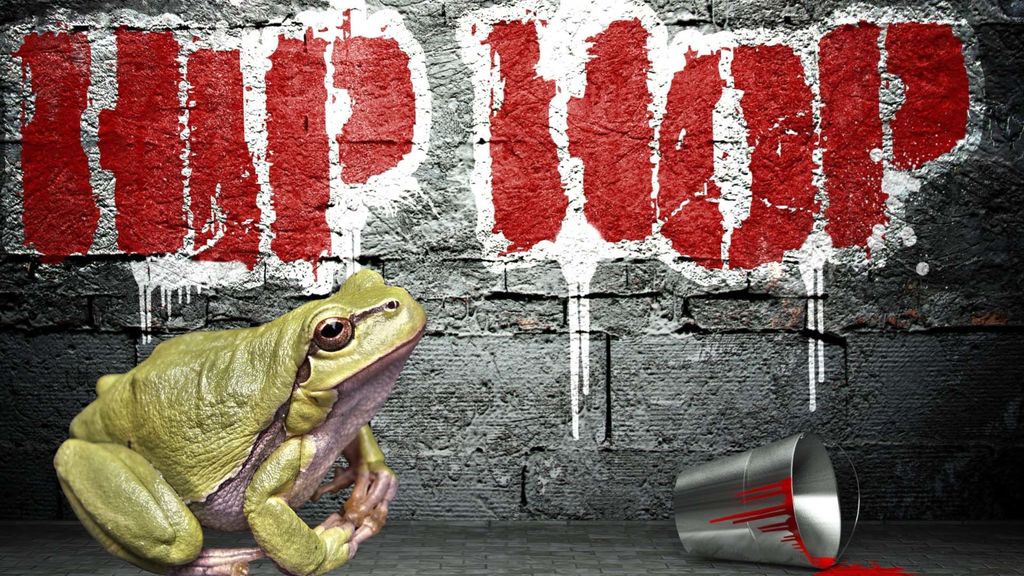 frogs and hip hop - august 11