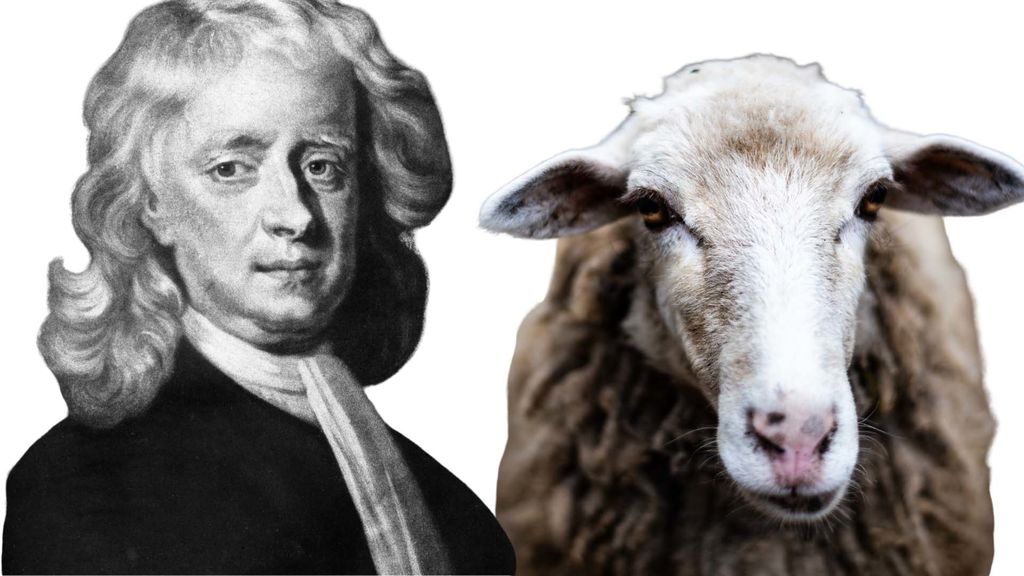 sheep and sir isaac newton - july 5