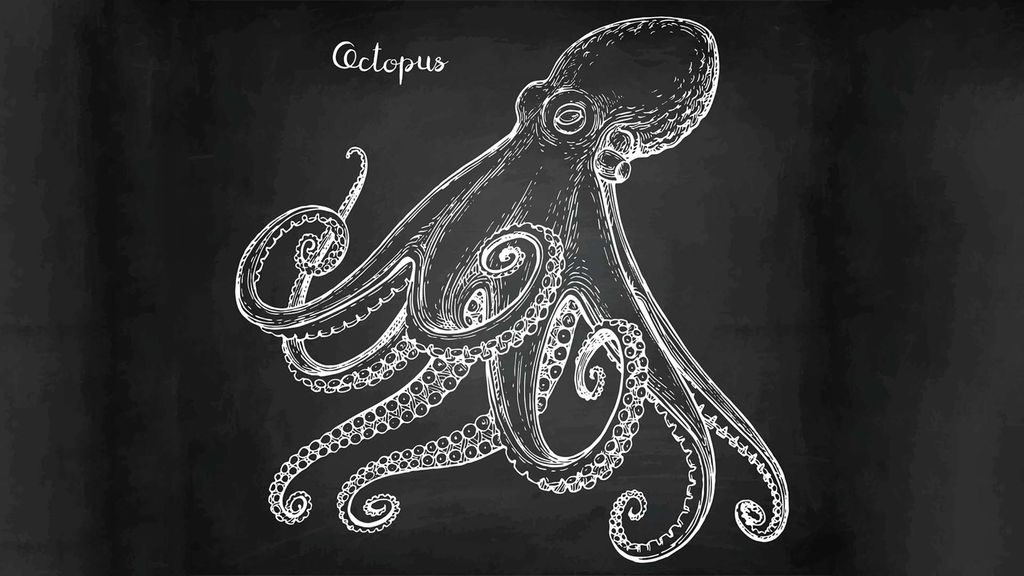 octopi (octopuses, octopode) and ada lovelace - october 8