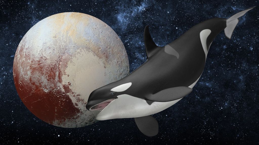 pluto and whales - february 18