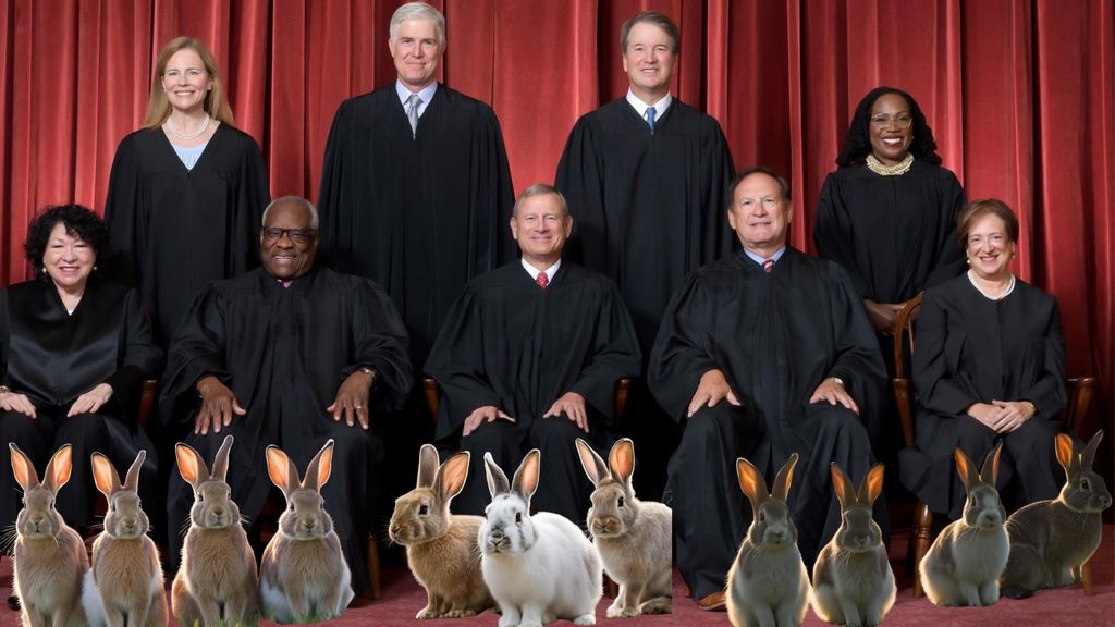 bunnies, punctuation, and the supreme court - september 24