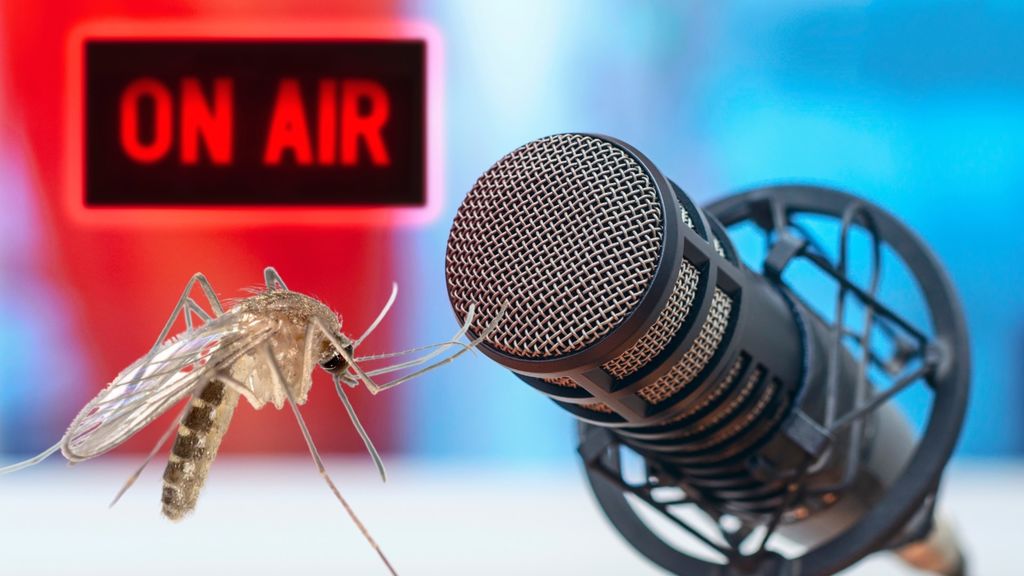 mosquitoes and radio - august 20