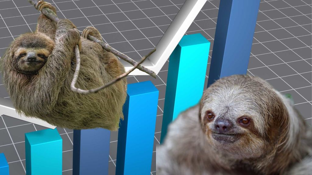 sloths  and statistics - october 20
