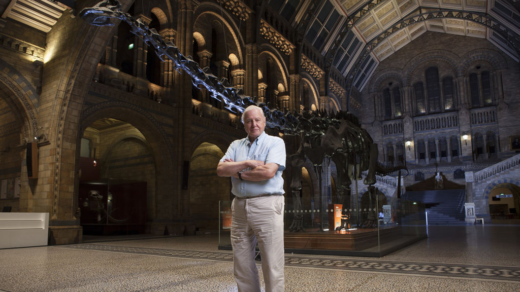 happy 99th birthday, david attenborough!