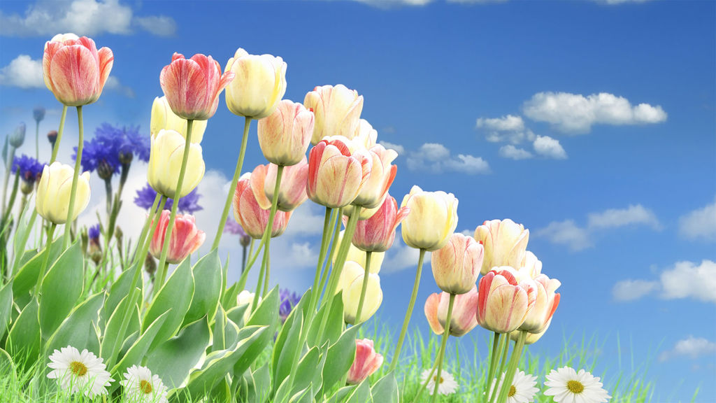 spring has sprung - remote learning resources