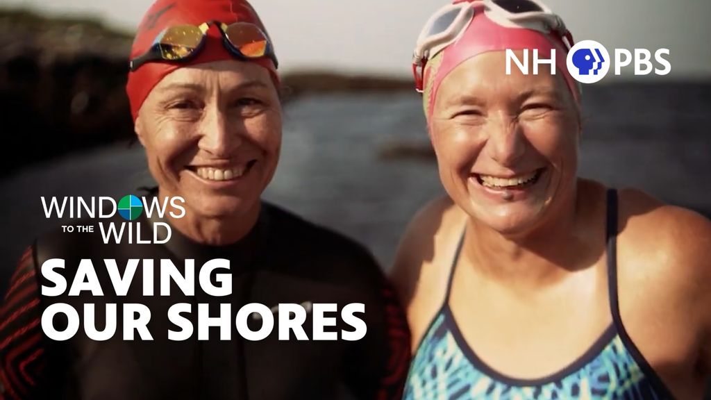 new hampshire pbs is nominated for two boston/new england regional emmys