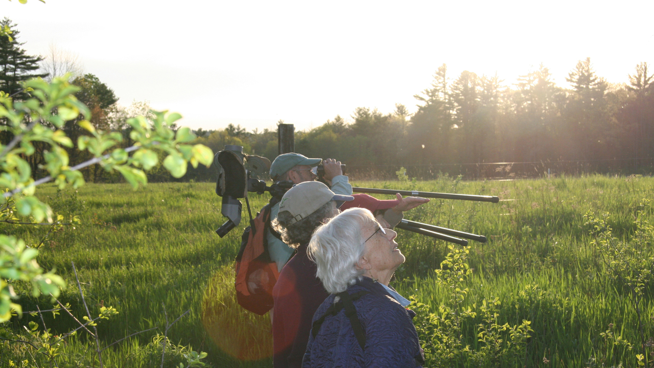 Bird Walk with NH Audubon President