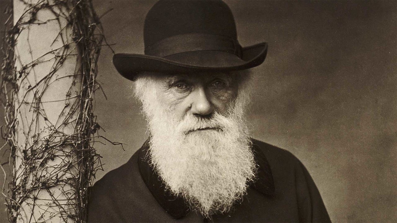 Charles Darwin and Evolution - November 24