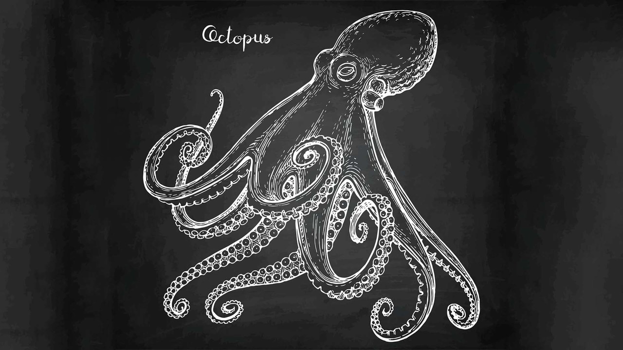Octopi (Octopuses, Octopode) and Ada Lovelace - October 8