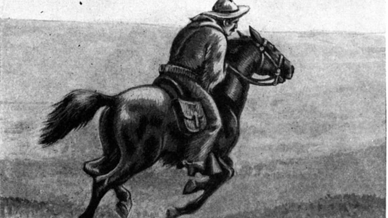 Whale Sharks and the Pony Express