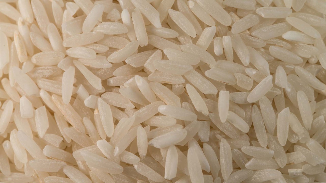 Rice - September 20 Theme
