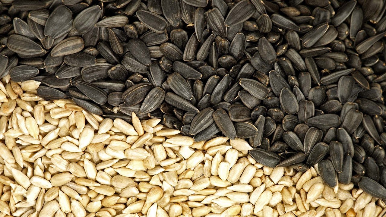 Seeds - Januay 30