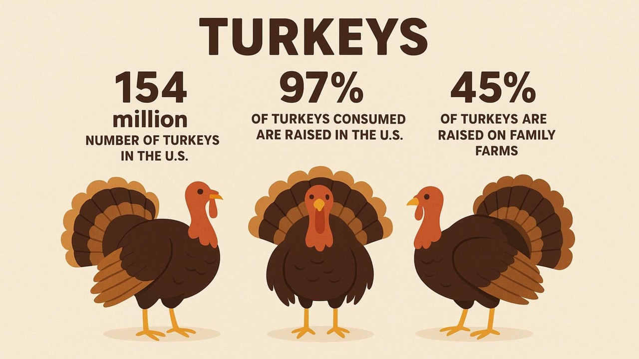 Thanksgiving, Turkeys, Statistics, and Bill Nye  - November 27