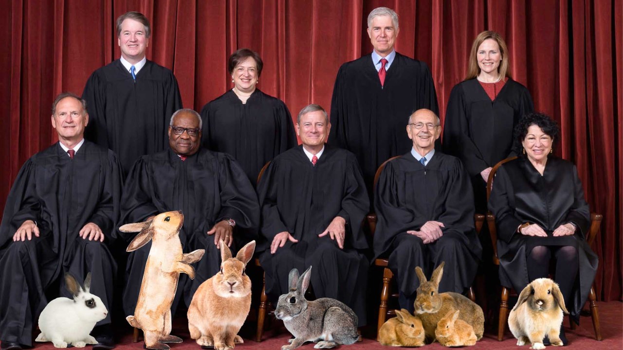 Rabbits, Punctuation, Rivers, and the Supreme Court - September 24