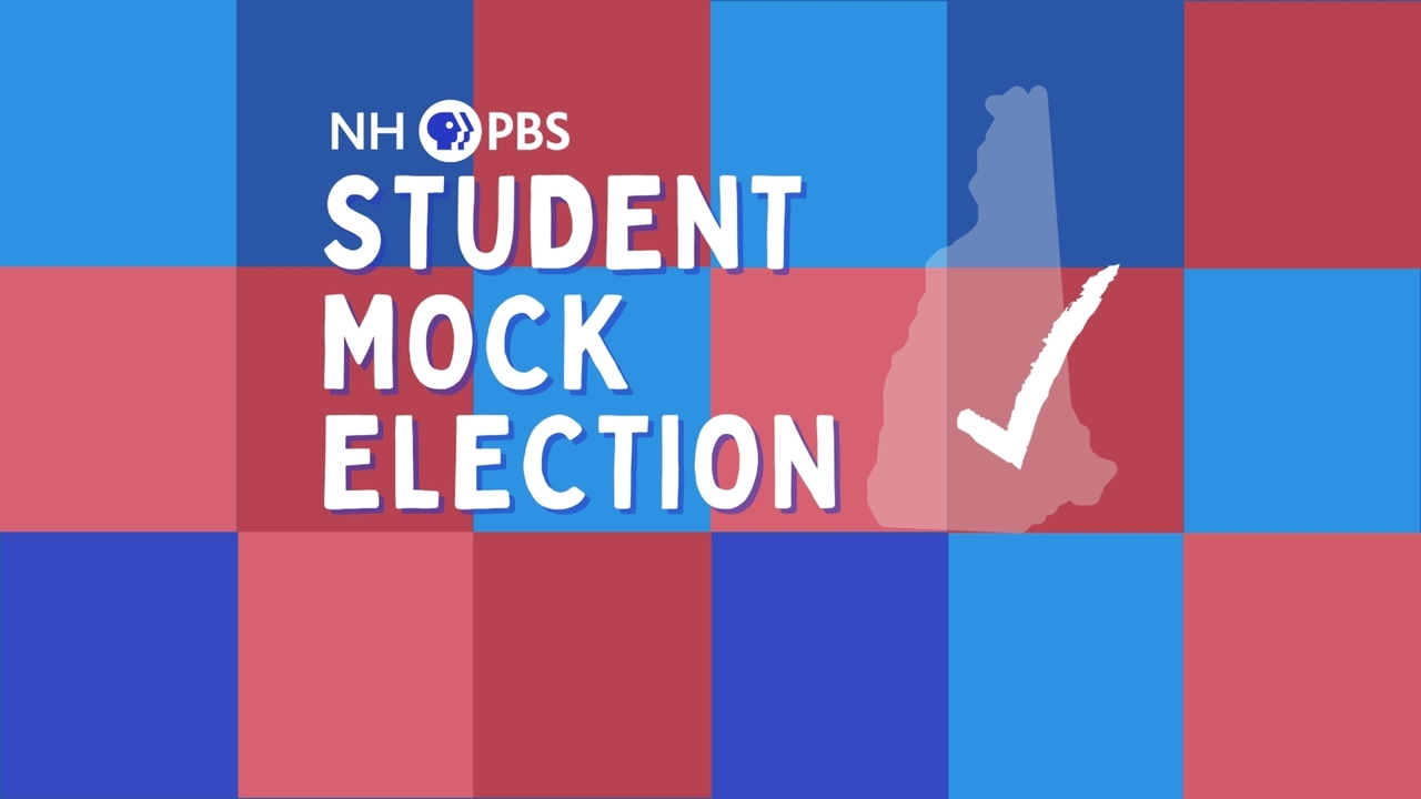 Mock Election