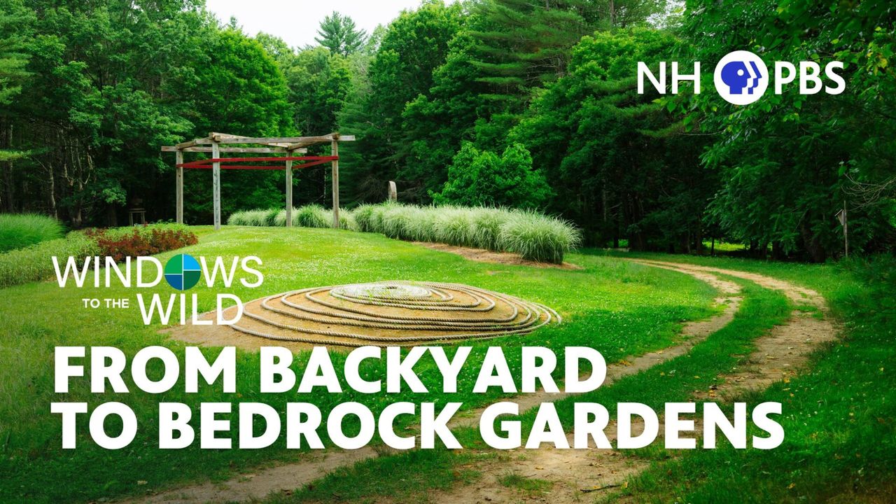 Thursday at 8pm on NHPBS