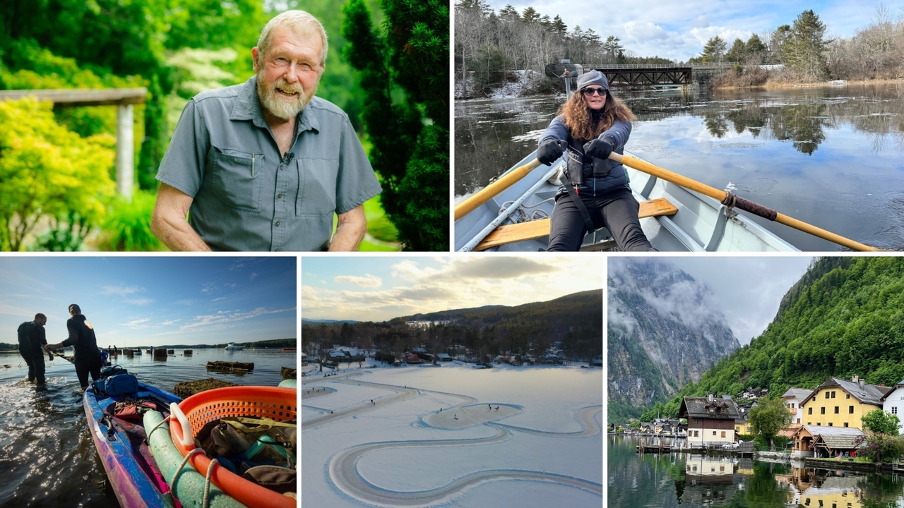 Windows to the Wild is Nominated for Two New England Regional Emmys