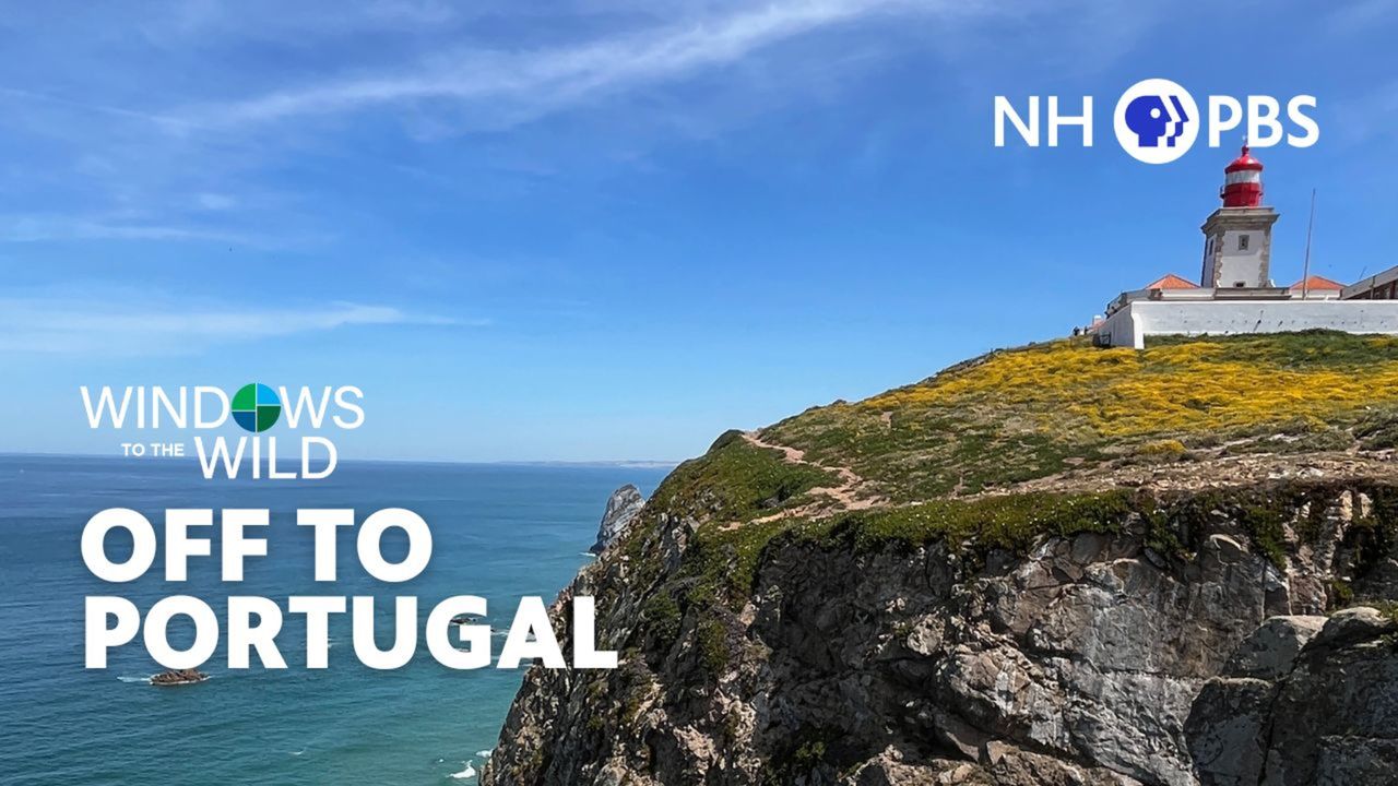 Thursday at 8pm on NHPBS