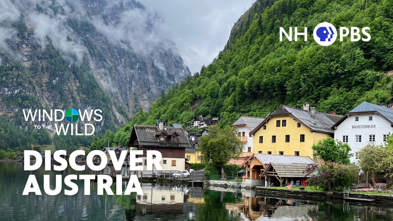 Thursday at 8pm on NHPBS