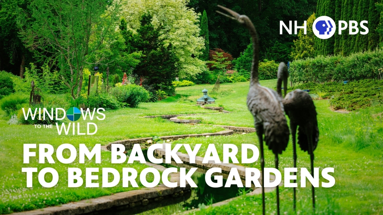Thursday at 8pm on NHPBS