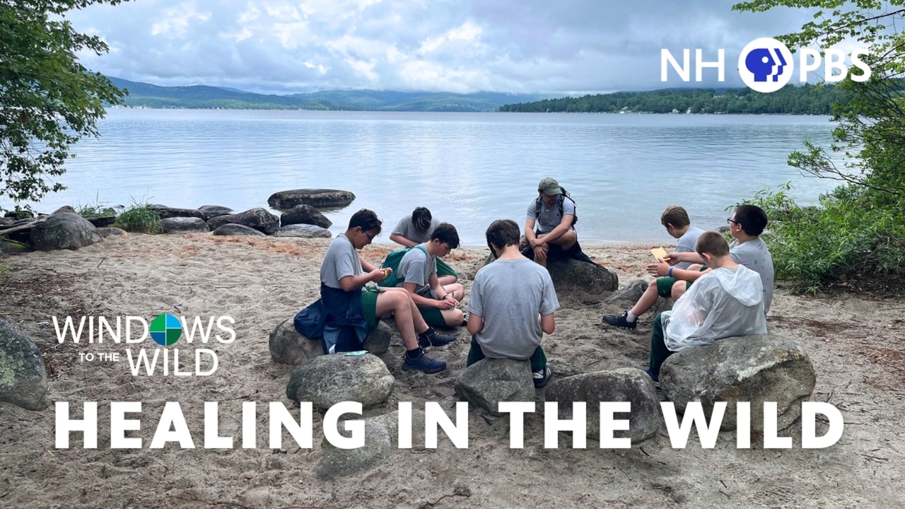 Thursday at 8pm on NHPBS