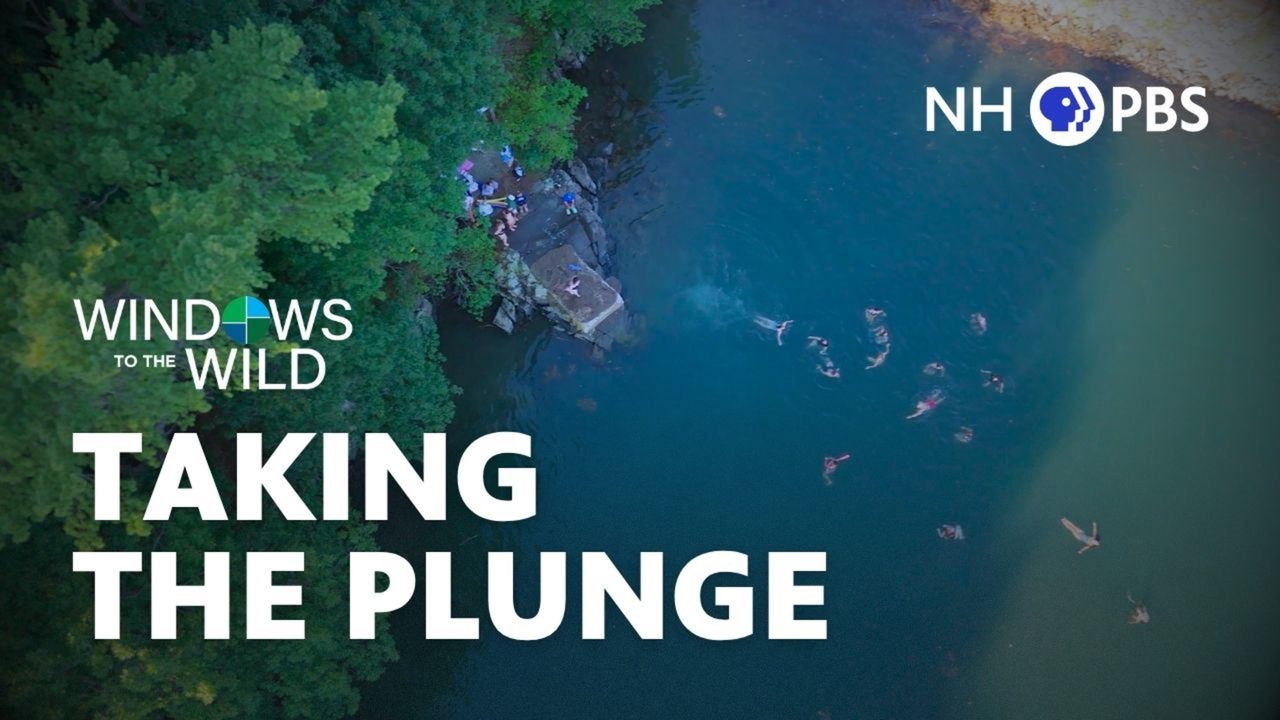 Thursday at 8pm on NHPBS