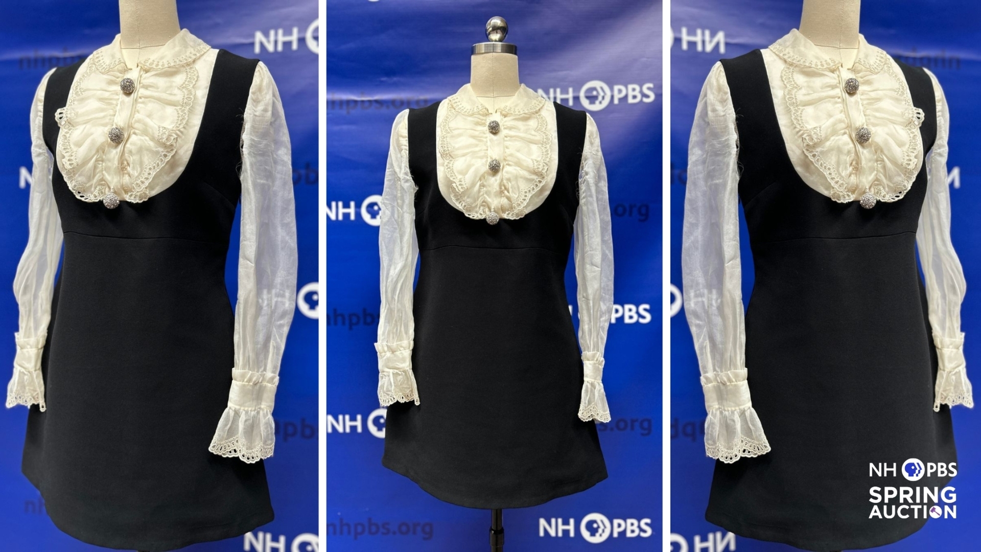 NHPBS Announces Comedian/Actress Sarah Silverman’s Donated Dress for ...