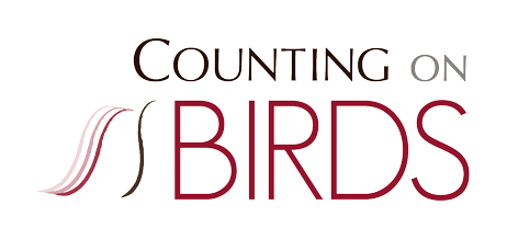 Counting On Birds