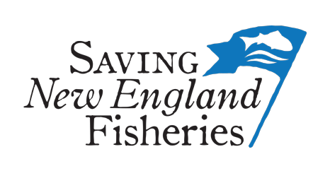 Saving New England Fisheries