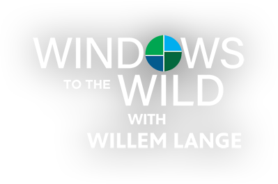 Windows to the Wild Host Willem Lange Finds New Canine Companion