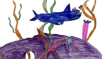 Peeno the Shark and the Special Day