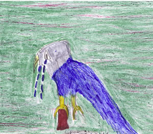 A Bird's Diary