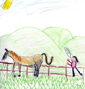 Forest Safari