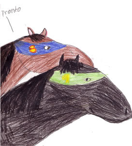 Pronto's Dream