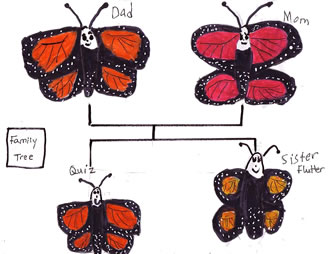 Quiz, the Curious Butterfly
