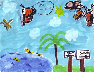 Quiz, the Curious Butterfly