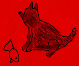 coyote crisis
