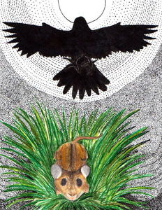 Feathered Tales