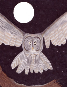 Feathered Tales