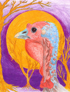 Feathered Tales