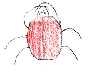 How the Lady Bug Got Its Spots