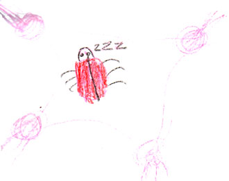 How the Lady Bug Got Its Spots